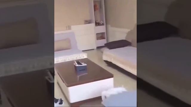1000011616.mp4