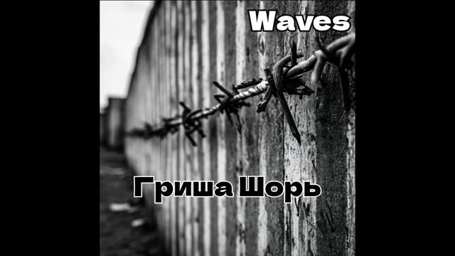 Waves(REPARANT)Гриша Шорь