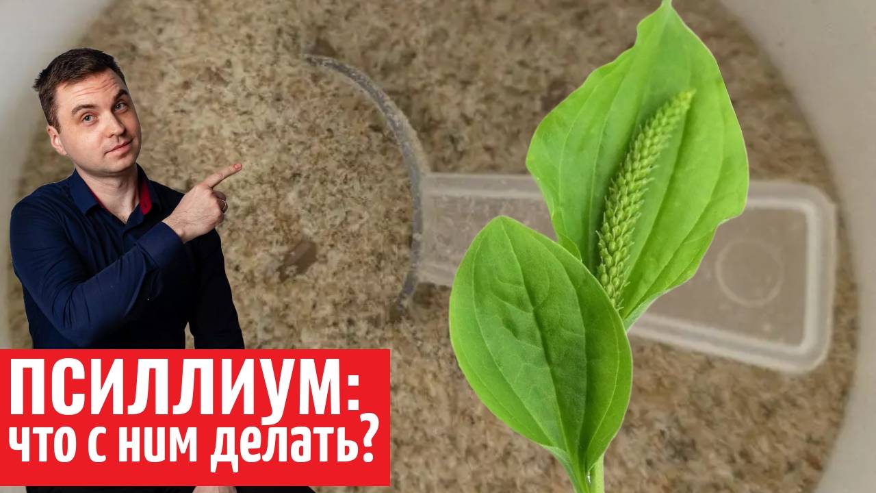 псиллиум