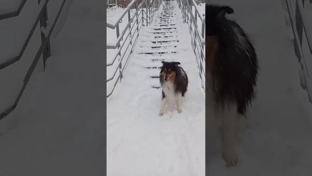 Трюк Назад