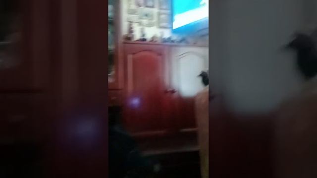 Эти глаза напротив ;-)