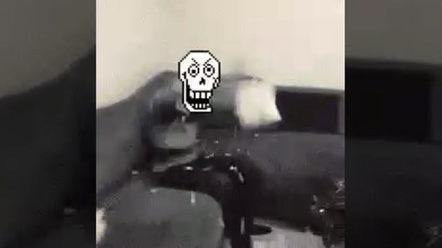 VID-20241109-WA0002.mp4
