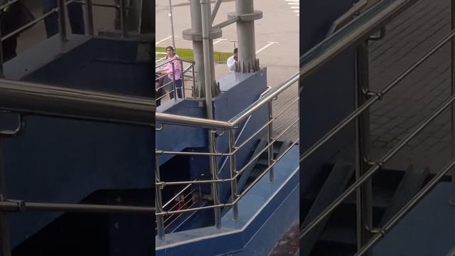Обезьянь у ТЦ "Домодедовский"