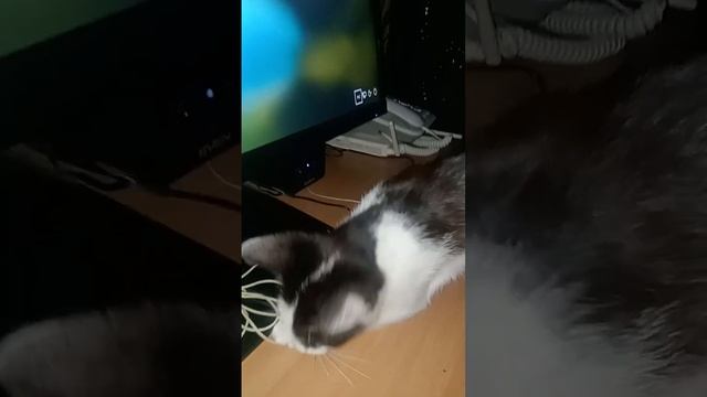 Попробовала спрятать .. Не удалось... Я найду с чем ещё поиграть ;-)