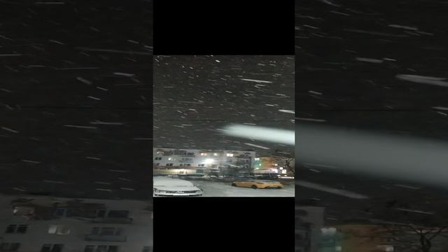 VID_20241107_165322.mp4 Елена Дружиненко Волшебная Воркута