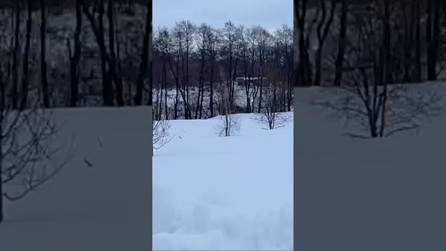 Начали с поля.Это будет наша земля#Shorts#TikTok#красота#участок