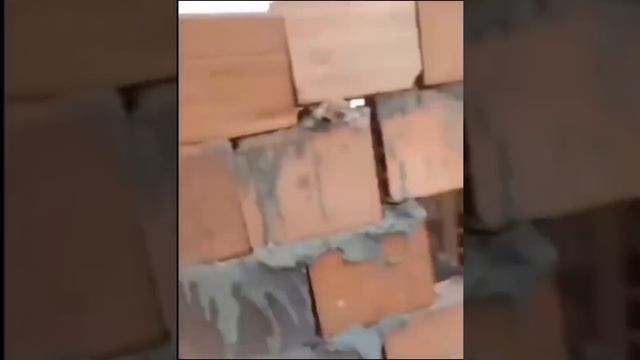 Уровень что надо!)