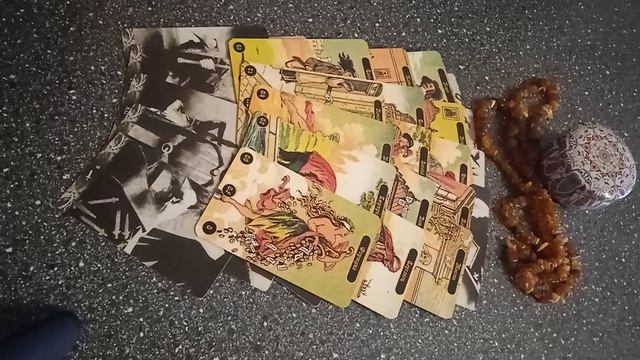 VID_20241109_104932.mp4
