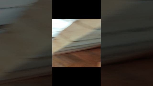 1000013367.mp4