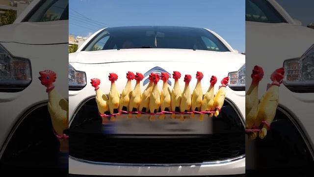 Сборник из 45 лайфхаков для каждого