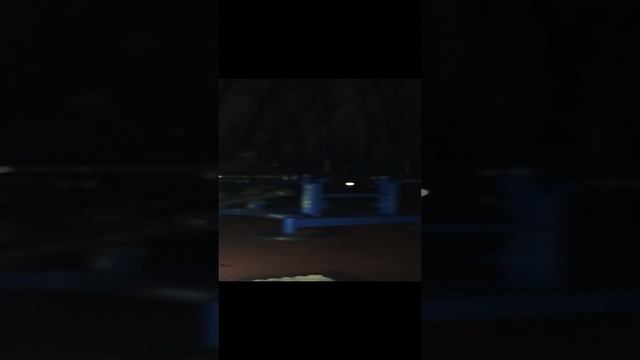 1000033017.mp4 тренировка в парке