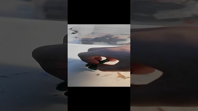 роботы 1 серия