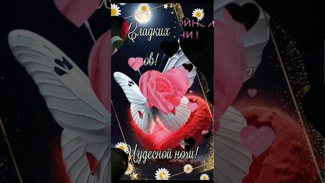 Доброй ночки, красивых снов 💋🌛❤