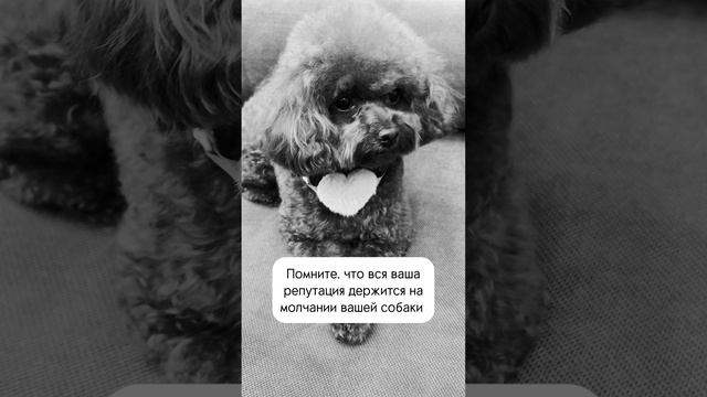 TEZI Grooming vibes (Москва)