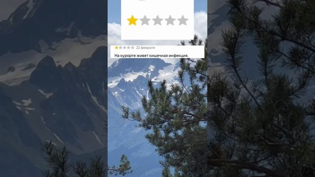 Более 7 тысяч отзывов на Яндексе и общий рейтинг ⭐️5