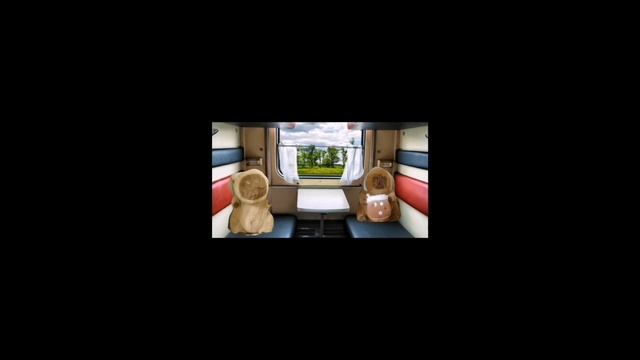 Черныш нашёл свою любовь