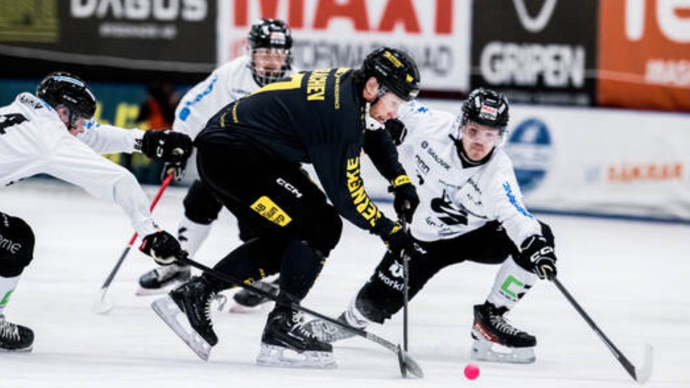 «Gripen BK»-«Sandvikens AIK» 8 Nov Elitserien 2024-25