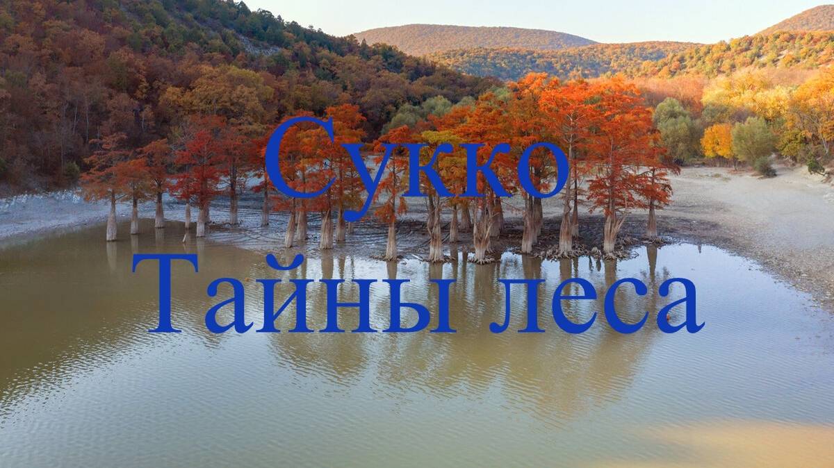 Сукко, кипарисовое озеро, лес в Анапе, Анапа, черное море