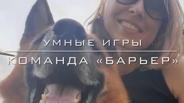 Команда «Барьер».