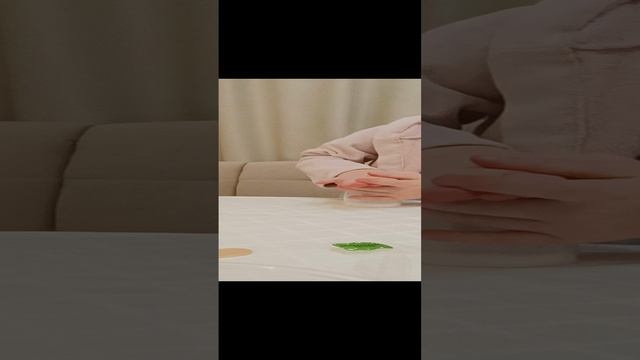 Опыт "Газовый огнетушитель"