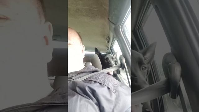 Возвращаемся с дачи... ;-)