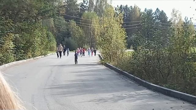 Наша дружная команда