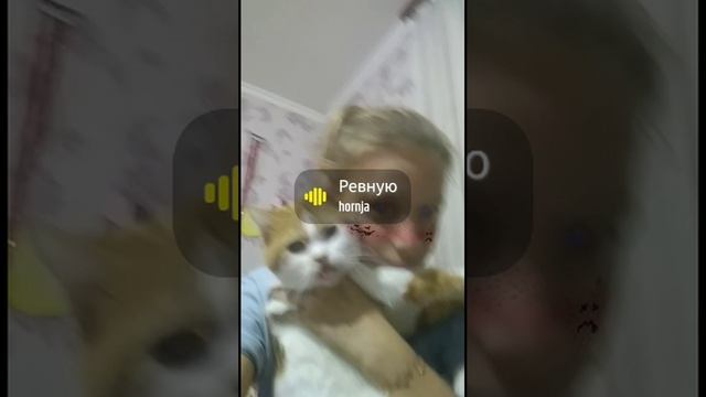 Snapchat-1037501969.mp4