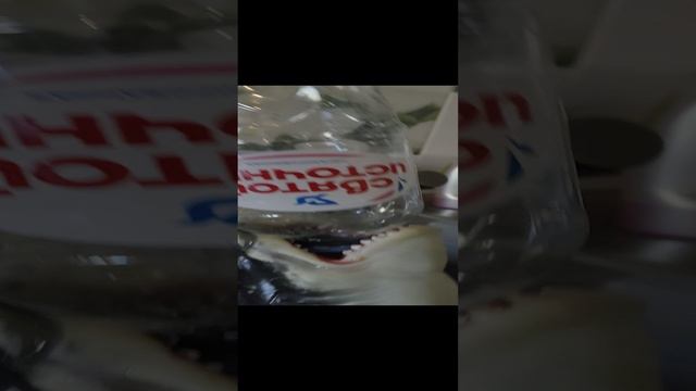 VID_20241109_141100.mp4