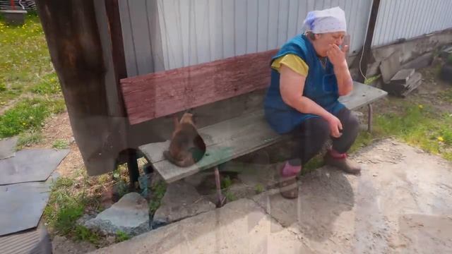 Как ухаживать за садом и огородом на пенсии