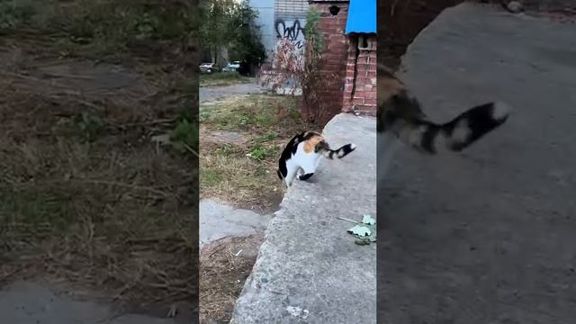 1000011614.mp4