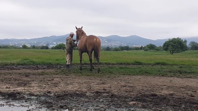 15062023 в дорогу, жди нас в пятый день с первым лучом....(2)