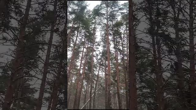 природа в челябе