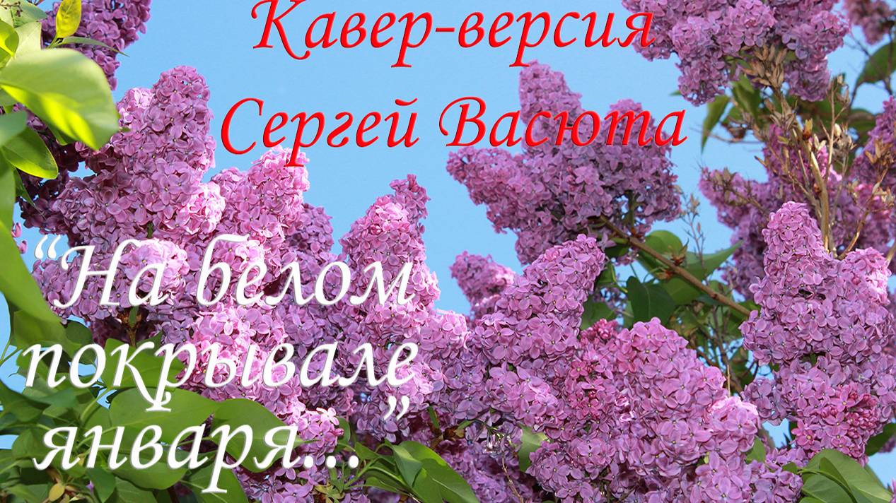 Кавер-версия Сергей Васюта "На белом покрывале января"  | Свояченице На ДР