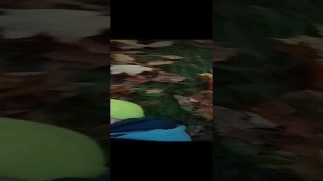 песня я тебя зарежу