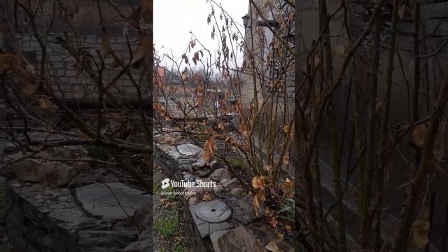 ПЕРВЫЙ ТИХИЙ,ТЁПЛЫЙ ВЕСЕННИЙ ДОЖДИК!!!Shorts