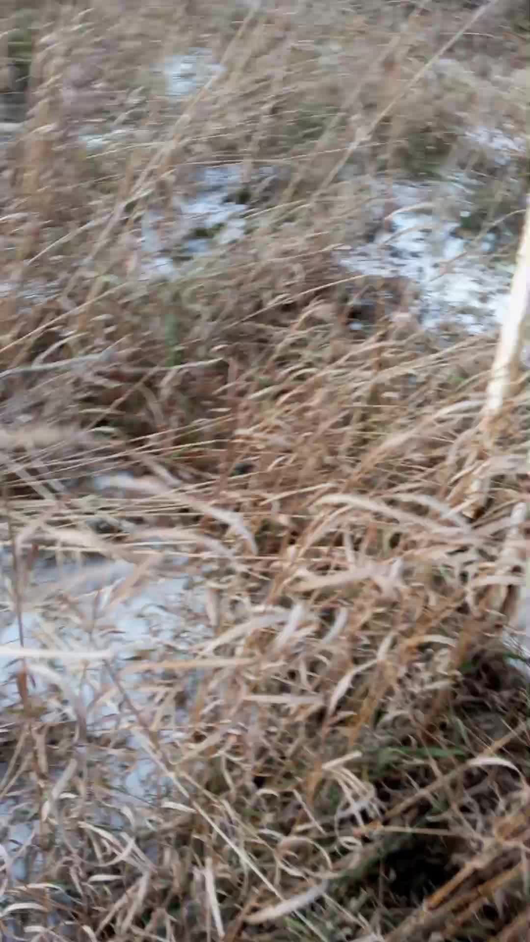 Я не знаю как это назвать