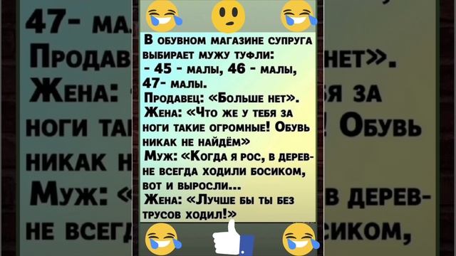 юмор 🤣