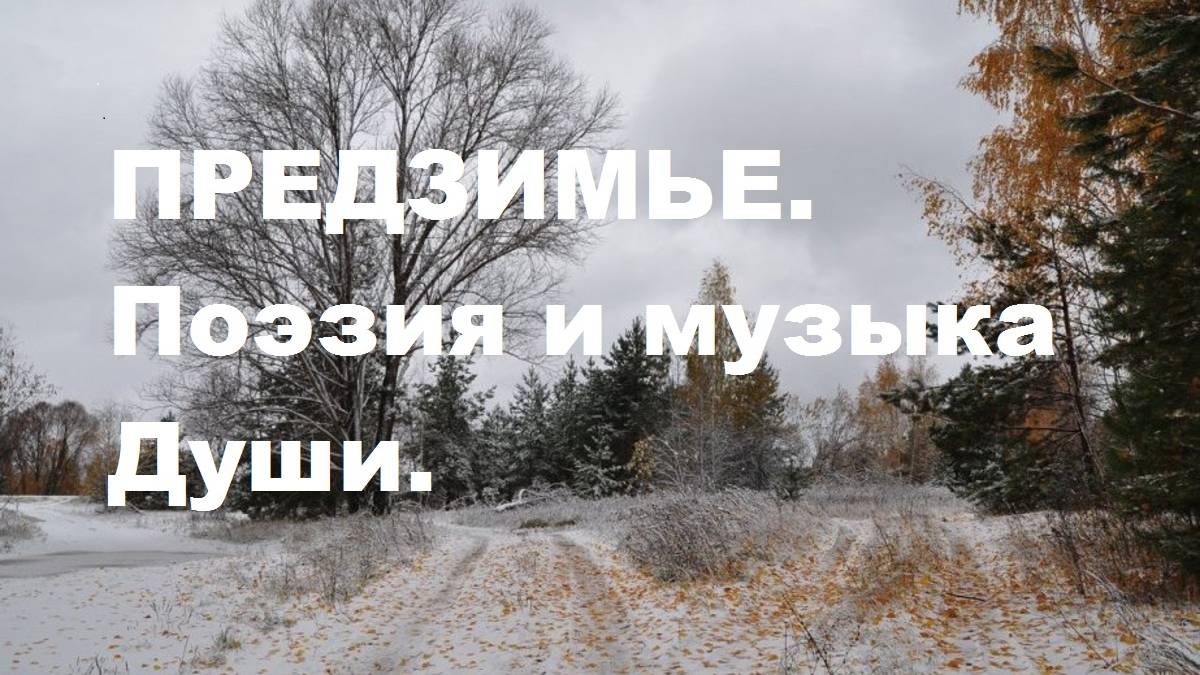 ПРЕДЗИМЬЕ. Автор стихотворения и видео А. Соколов. Музыка Secret Garden- Passacaglia.