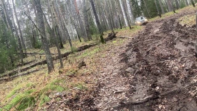 Черная сопка, жёсткий спуск.