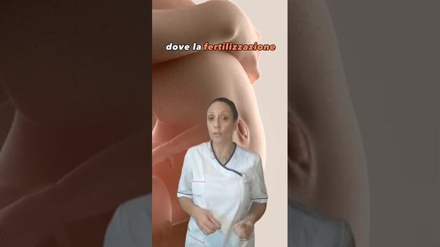3. PMA | Che cos'è l'ICSI?