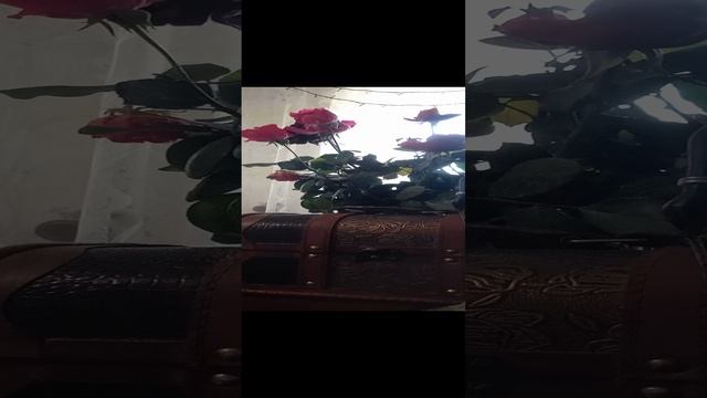 Таро.Скорые события + подарок.