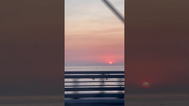 ЗСД Питер Безумно красиво