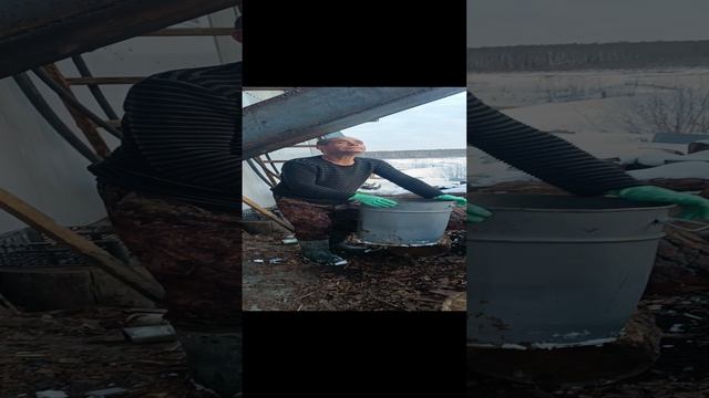 Танец от Братки)