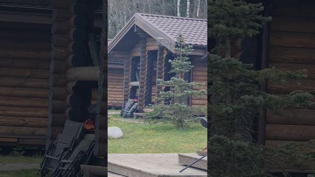 Поимки форели