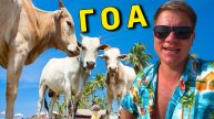 Отдых в Индии на ГОА 2024 - Лучший пляж на Севере Гоа: Вагатор, ЦЕНЫ в кафе, ЭКСКУРСИИ, еда и отель