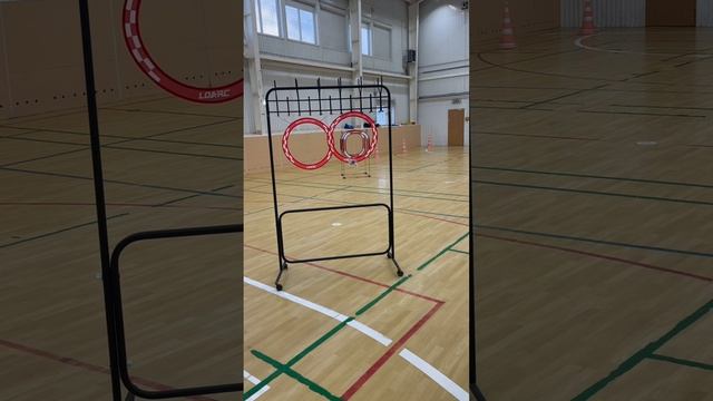 Mobula 7 и краши