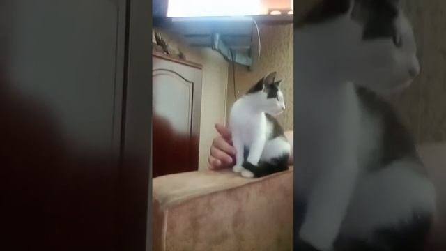 Все в комнате и я пришла ;-)