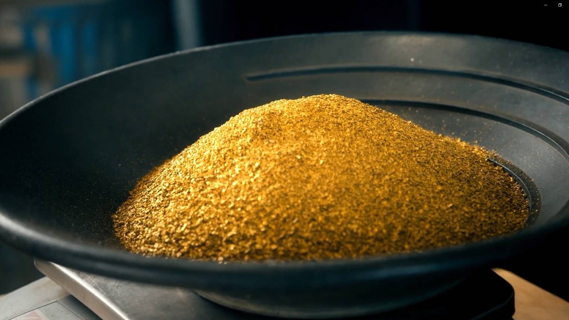 Золотая лихорадка 15 сезон. 2024 год. Превью.