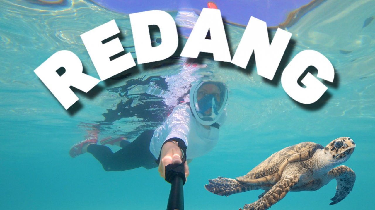 Малайзия Реданг Райский остров с черепахами