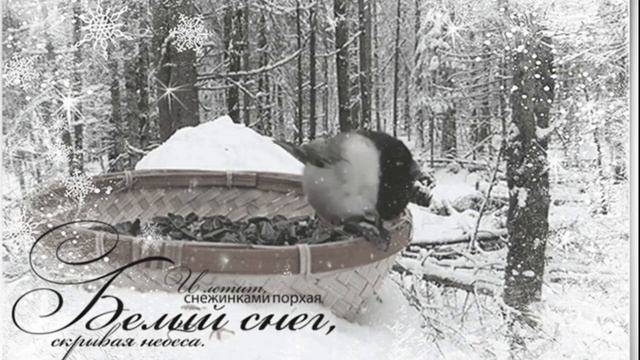 Снежный белый вальс._. Исп. Марина Докучаева.Слова и музыка Ирины Маняшиной